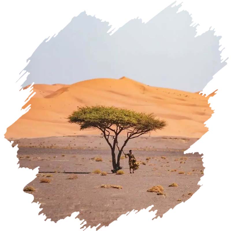 The story behind Best Tours In Morocco